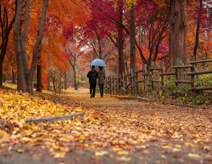 couple-g3884159df_1920 (1)